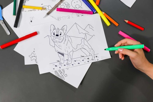 A02A4233 MOCKUP D019